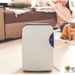 Things You Need to Know Before Buying a Dehumidifier