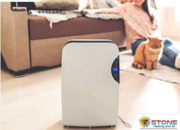 Things You Need to Know Before Buying a Dehumidifier