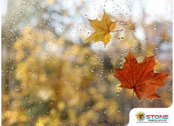 Raising Indoor Humidity Levels: Why & How to Do It