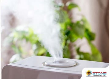 Why an Air Purifier Is Worth Investing In This Allergy Season