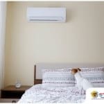 Essential HVAC Maintenance Tips for Pet Owners