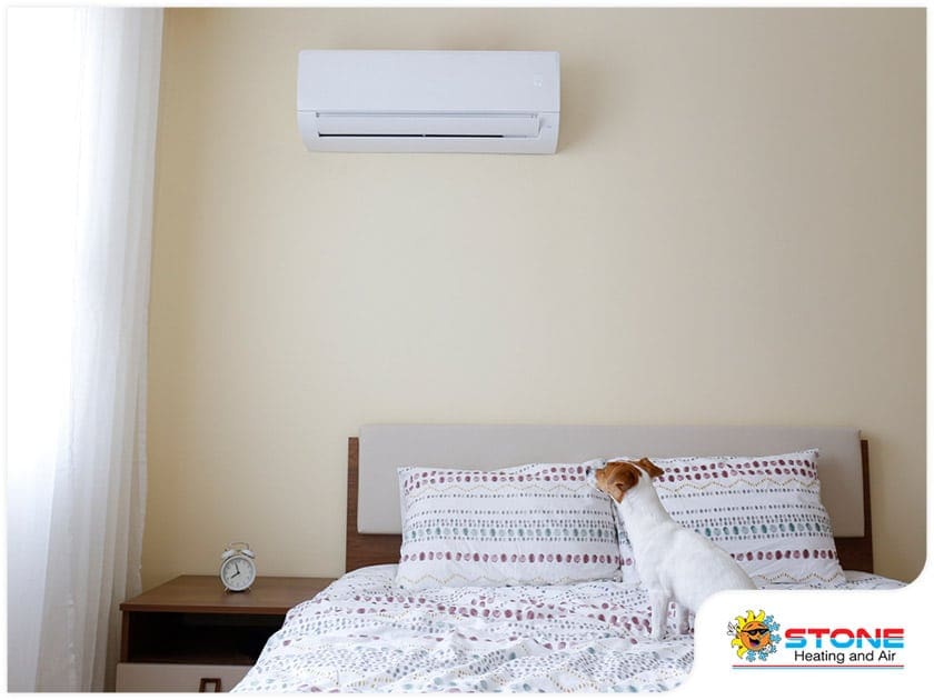 4176-1618822370-dog-in-an-air-conditioned-room.jpg