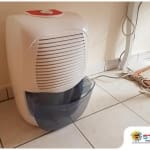 Telltale Signs You Need to Invest in a Dehumidifier