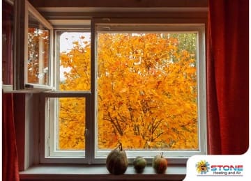 Fall-Friendly Tips: How to Save Money & Energy This Season